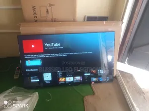 LG 65 Inches Which Quality Color
