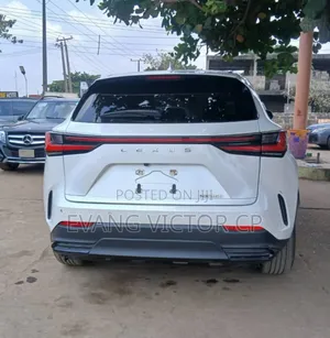 Lexus NX 250 2023 White