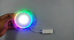 P.O.P Ceiling Light
