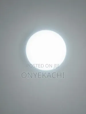 Pop Ceiling Light