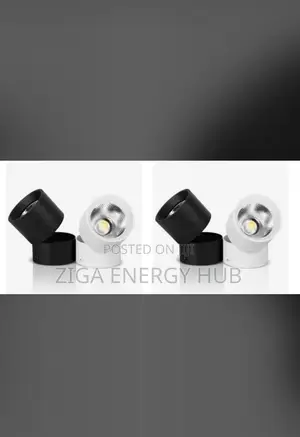 Spot Down Light