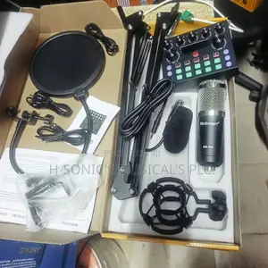 Birdsinger Bm-800 Condenser Combined With V8s Sound Card