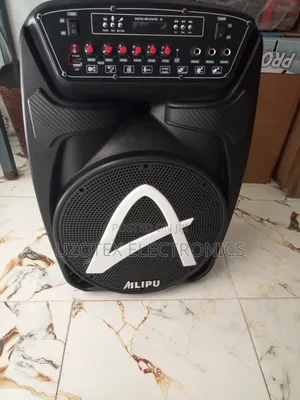 Ailipu 12" Pubic Address System