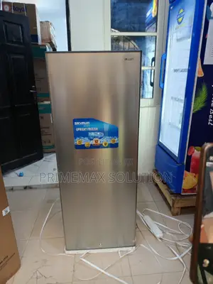 High-Efficiency Skyrun BDL-185h Upright Freezer for Home Business