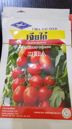 Dera Tomato Seed