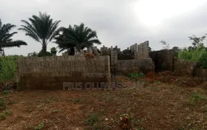 Half Plot for Sale at Odogunyan