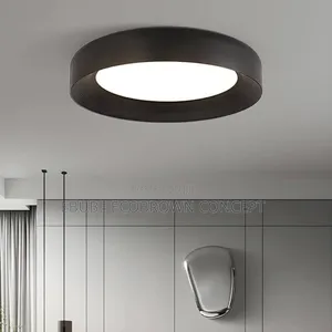 Latest Modern Ceiling Flush Light Available