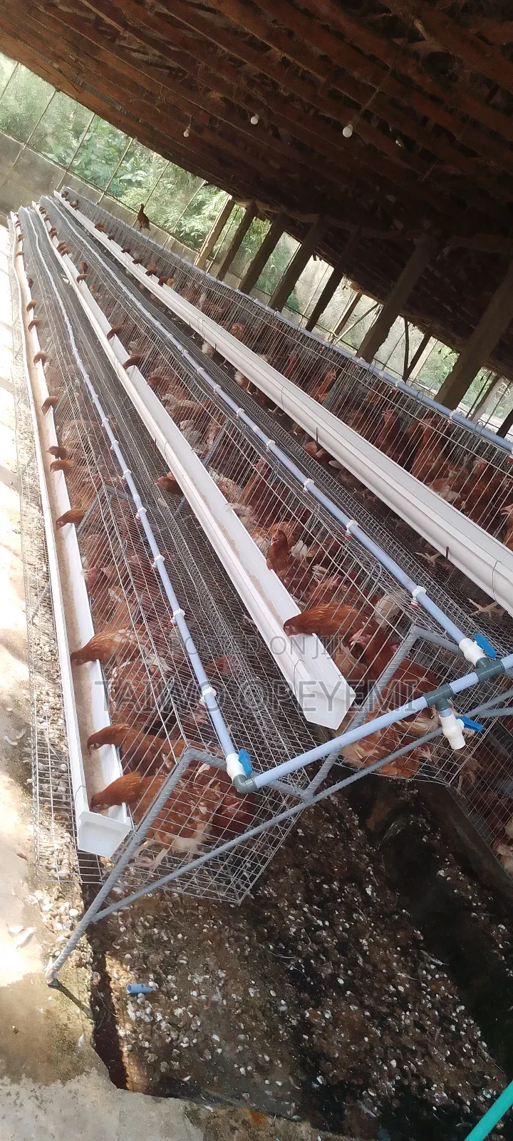 Battery Cage