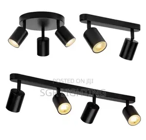 Dimmable Spotlight and Trail Light