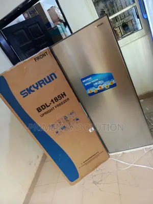 Discover Skyrun BDL-185h 185l Freezer: Quality Meets Affordability