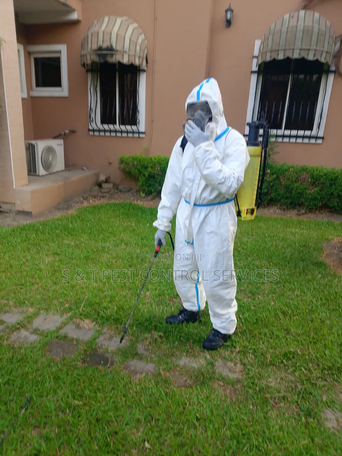 Pest Fumigation Services
