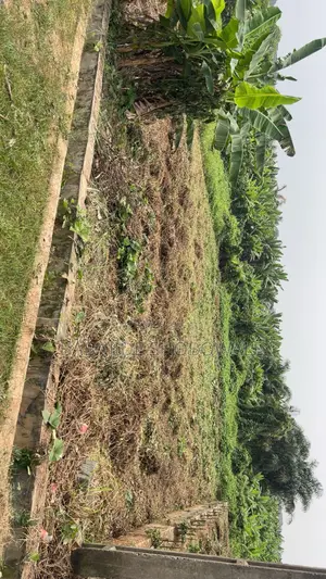 One and Half Plot 90 X 120