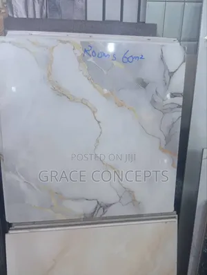 60x60 Goodwill Nigerian Porcelain Floor Tiles High Standard