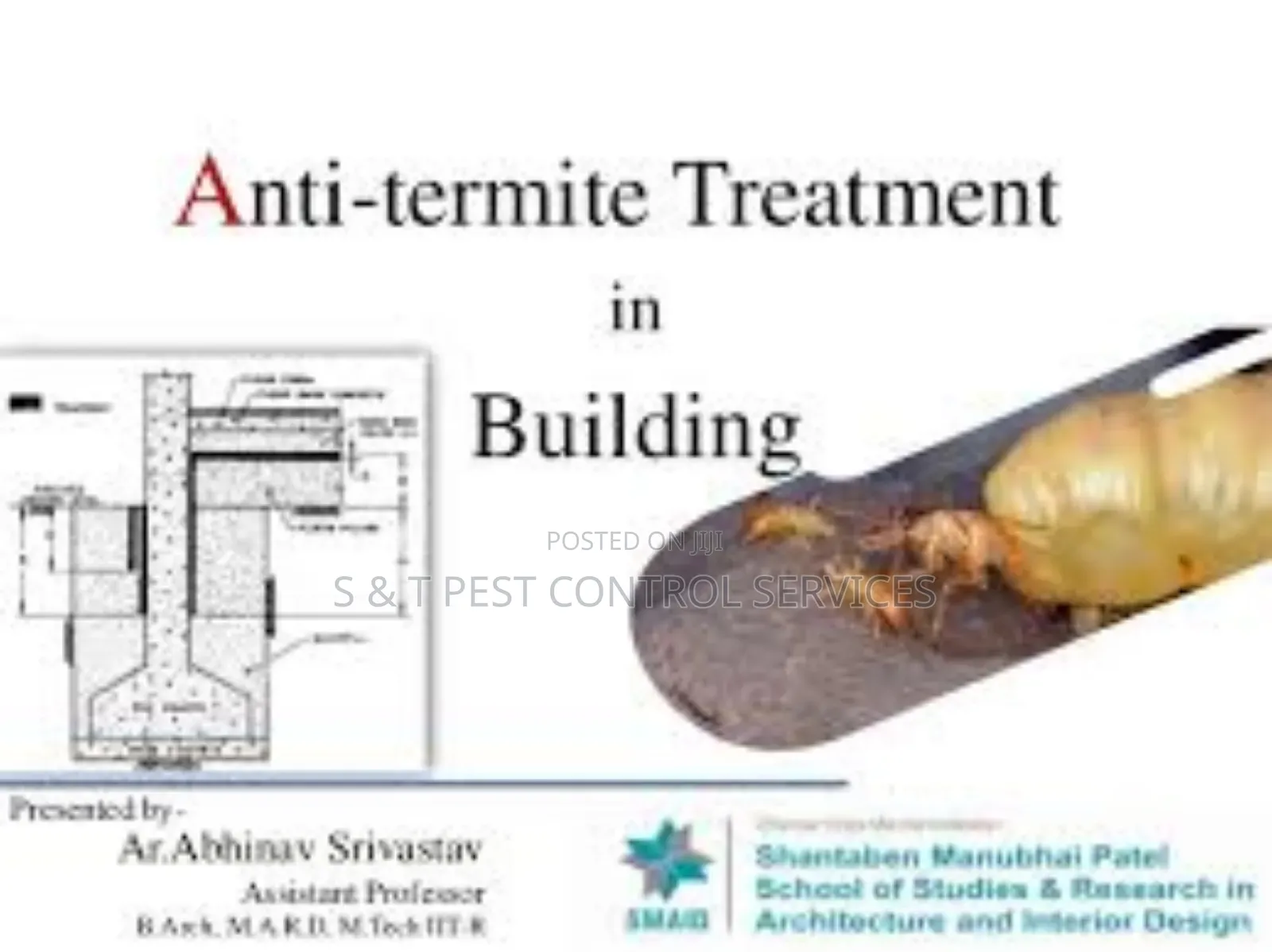 Termite Treatment That Works