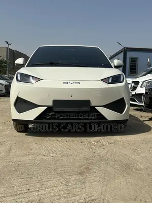 New BYD Tang EV 2025 Beige