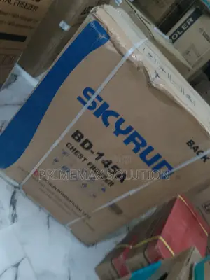 Skyrun 145l Bd-145a Grey Chest Freezer – Anti-Rust Durable Design