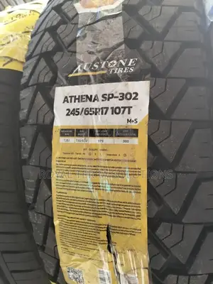 245/65r17 Austone