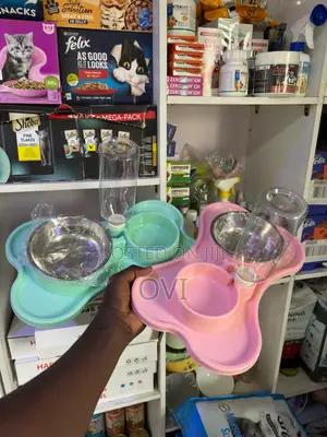 Dog _ Cat Dual Feeding Bowls + Water Dispenser Bootle