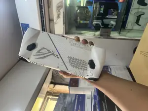 Asus Rog Ally X