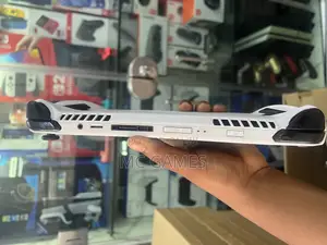 Asus Rog Ally X