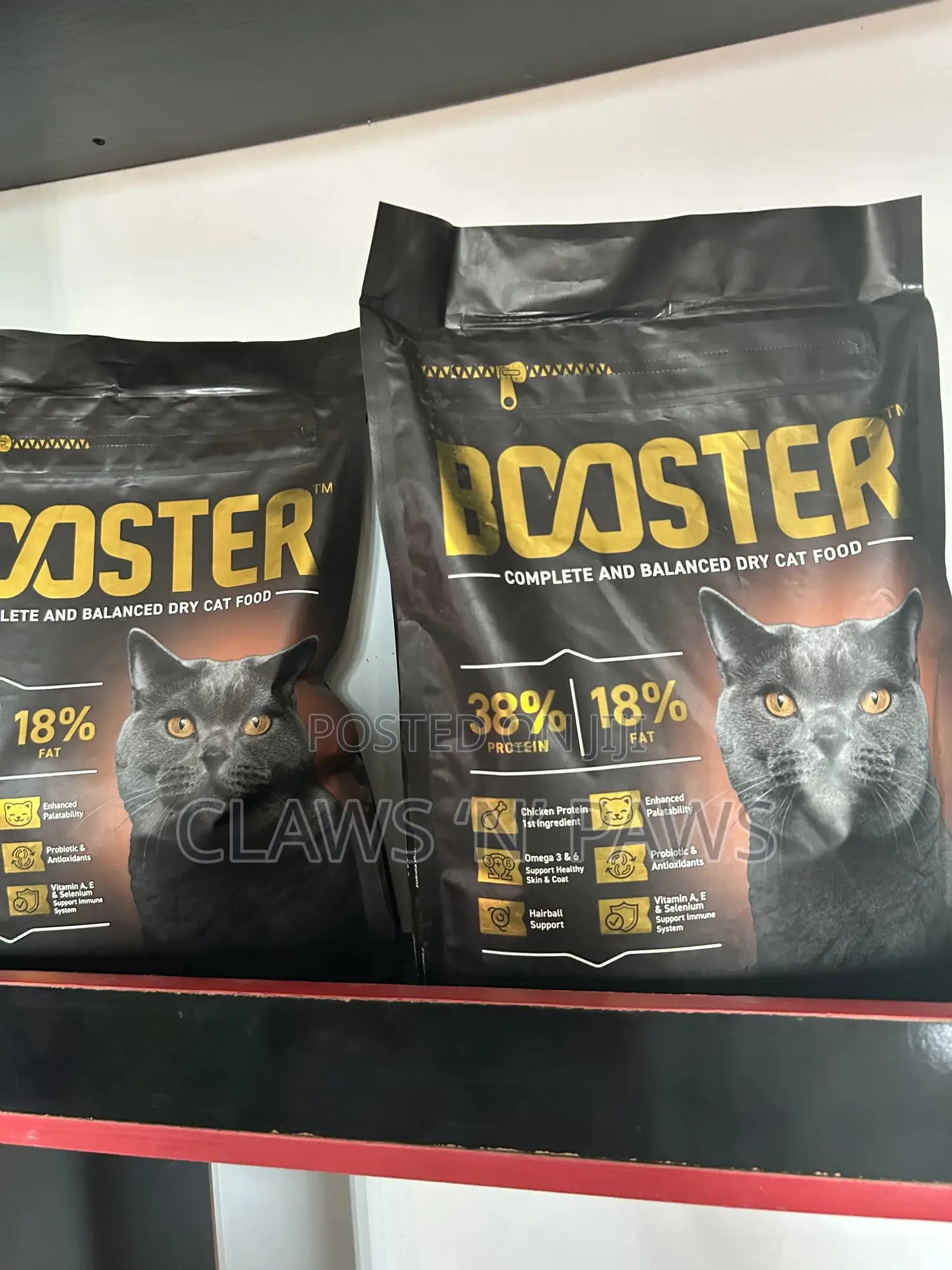 Booster Cat