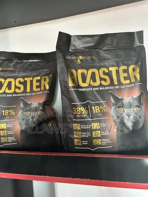 Booster Cat