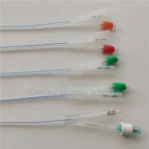 Hospital-Grade Sterile Silicone Foley Catheter