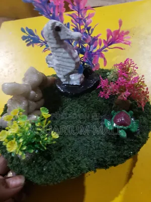 Aquarium Decoration