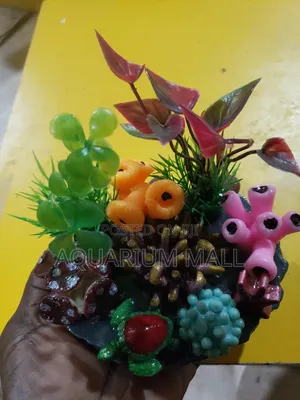 Aquarium Decoration