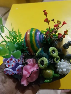 Aquarium Decoration