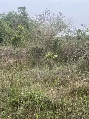 Land Property