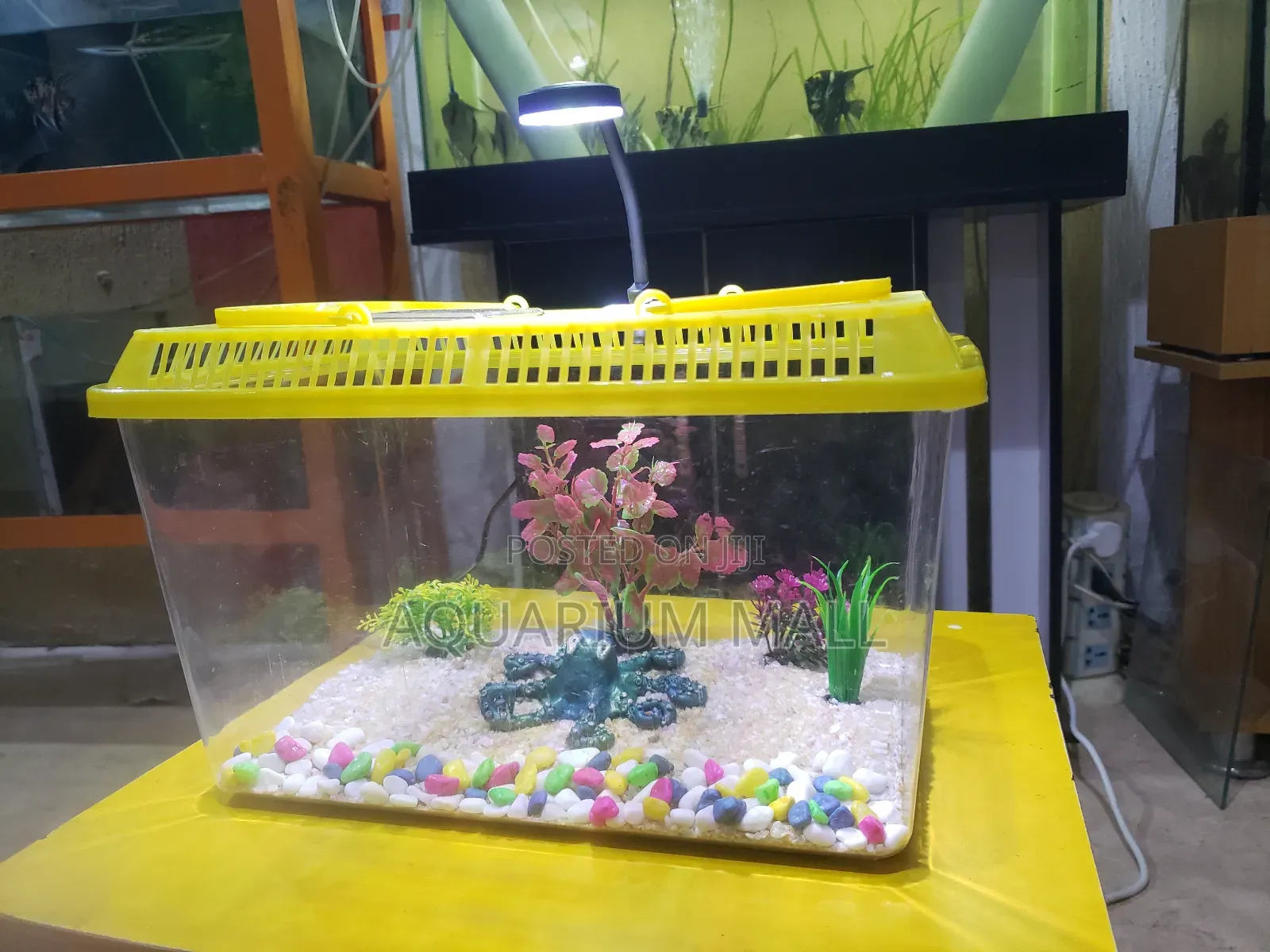 Aquarium Tank