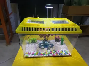 Aquarium Tank