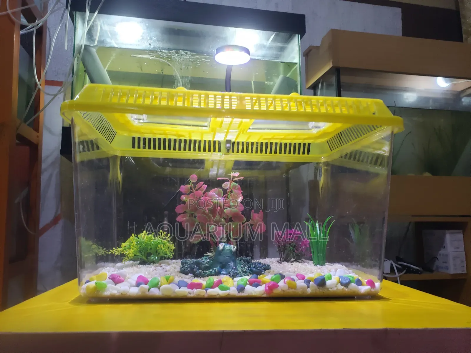 Aquarium Tank