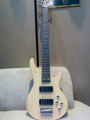 5 Strings Fender Professional Guitar