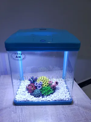 Aquarium Tank