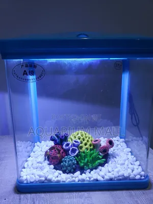 Aquarium Tank