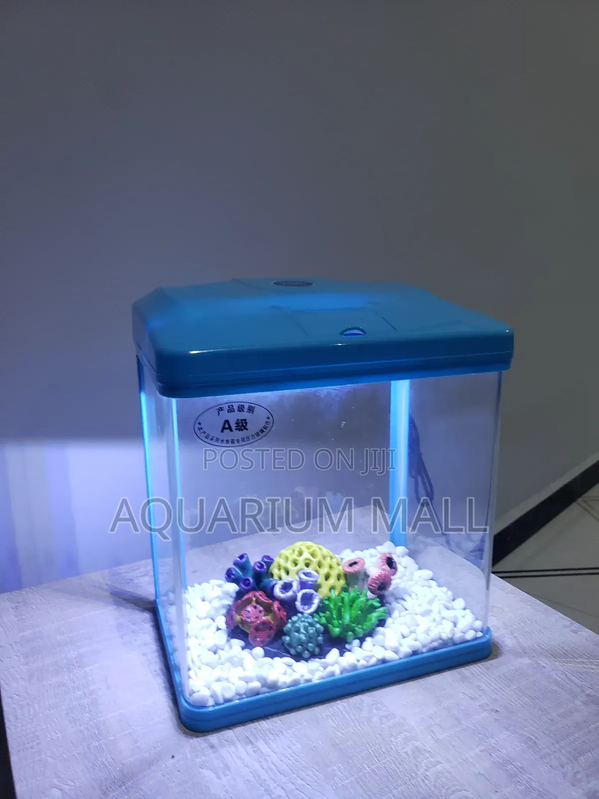 Aquarium Tank