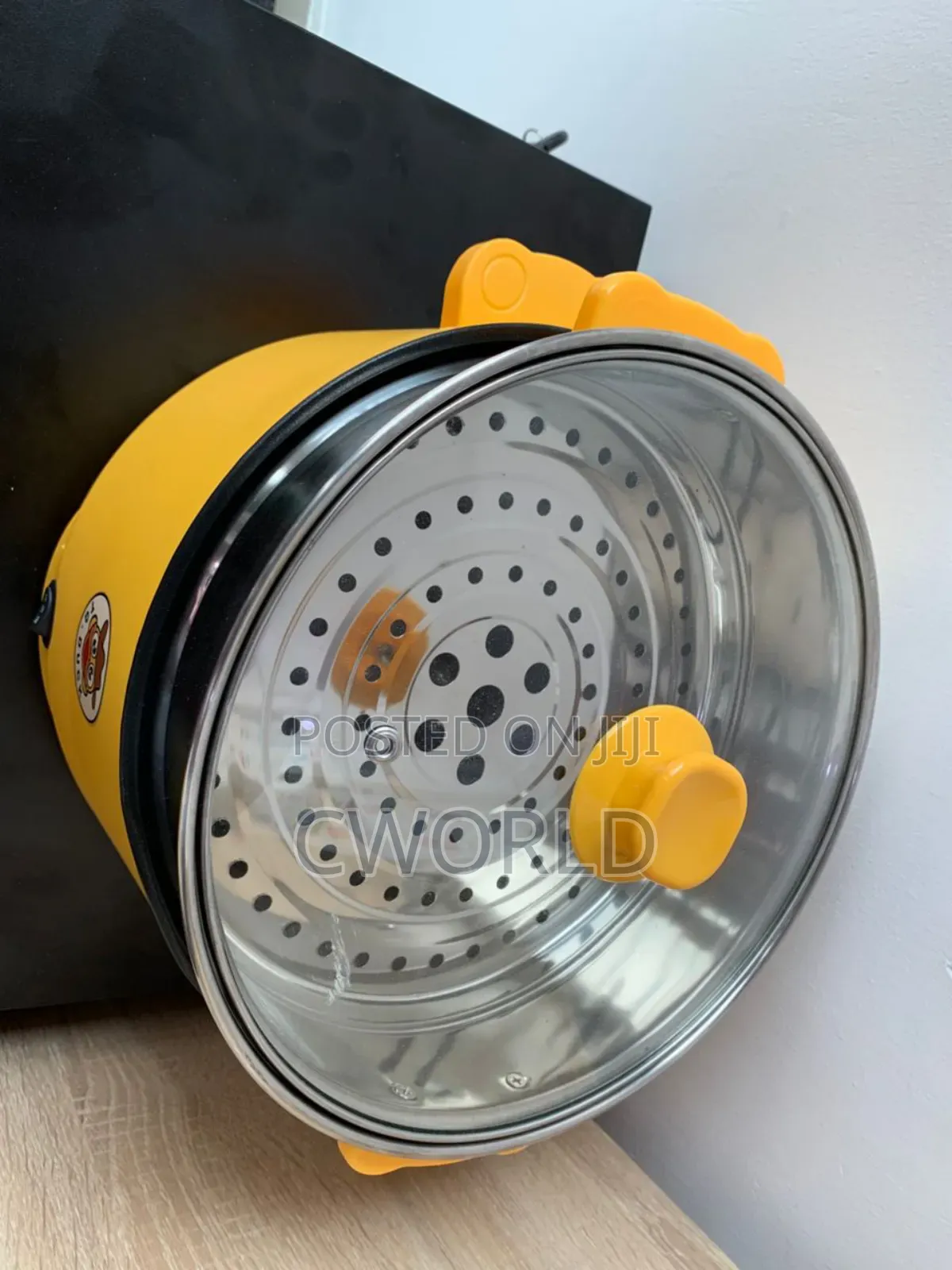 Electric Pot