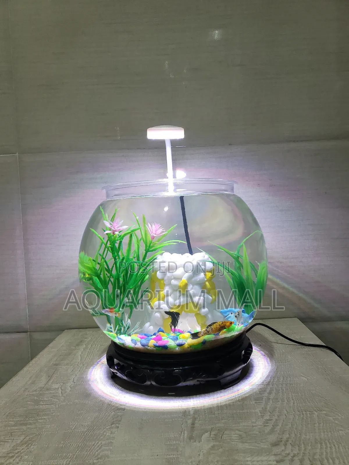 Aquarium Bowl