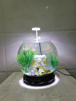 Aquarium Bowl