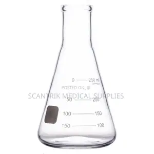 Laboratory Glass Conical Flask