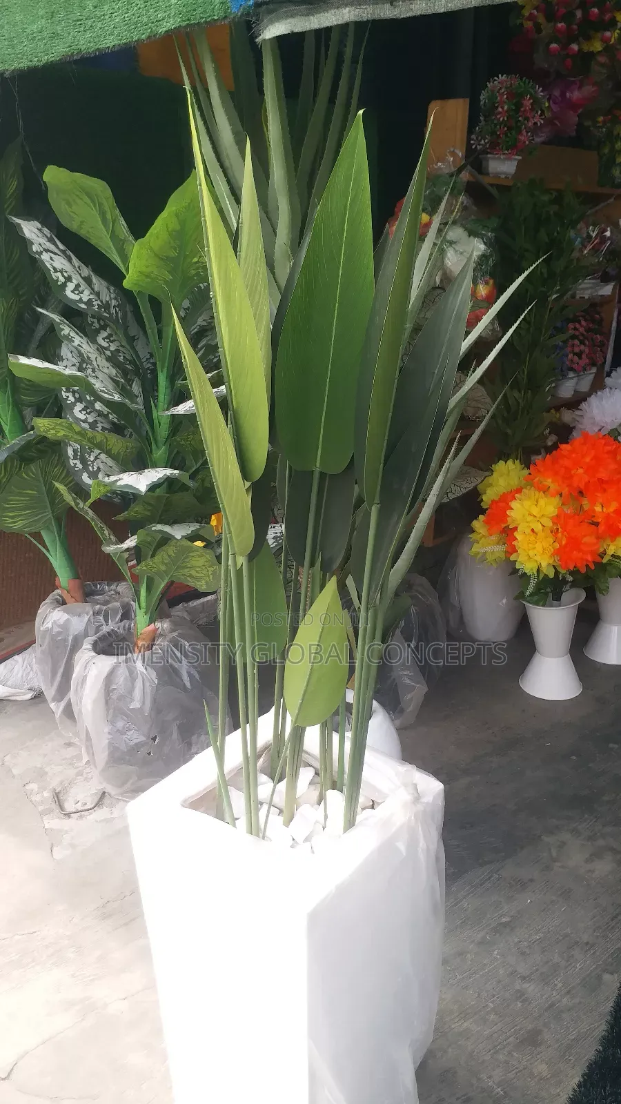 Paradise Leaf