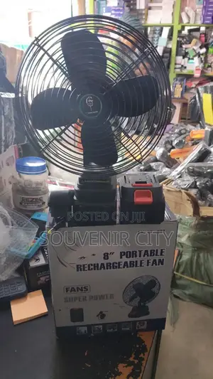 Lithium Fan With 2 48 Volts Batteries and Stainless Still Blade