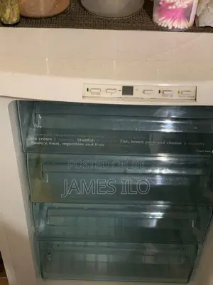 Used Standing Freezer for Sale