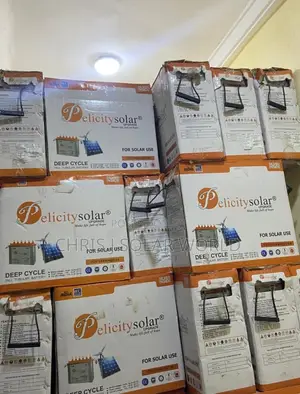 Pelicity Tubular Battery