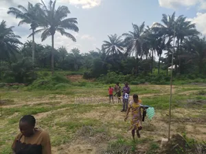 Landed Property