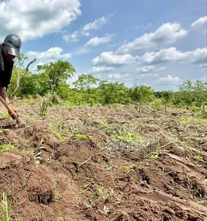 Plots And Acres Of Farmlands For Sale At Ilewo-orile, Ibara, Abeokuta