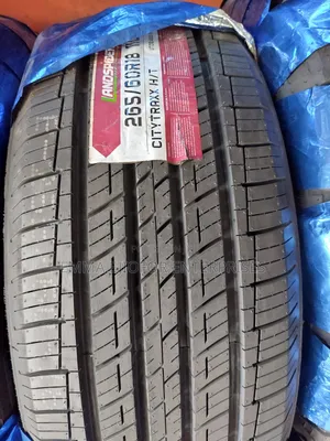 265/60r18 Landspider Tyre