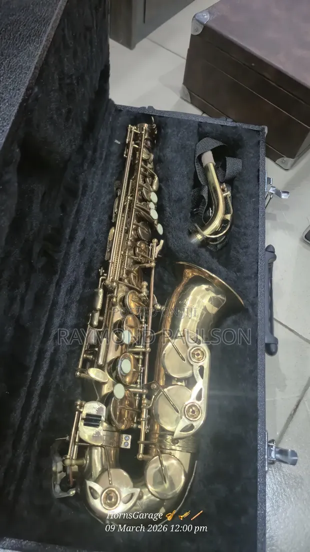 Maxtone マックストーン アルトサックス ハードケース付き Maxtone by French Engineer アルトサックス ハードケース付 管楽器